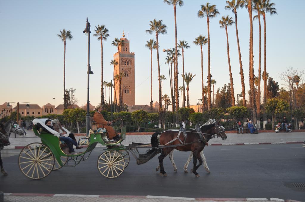 Appartement Elias Marrakech Marakeş Oda fotoğraf