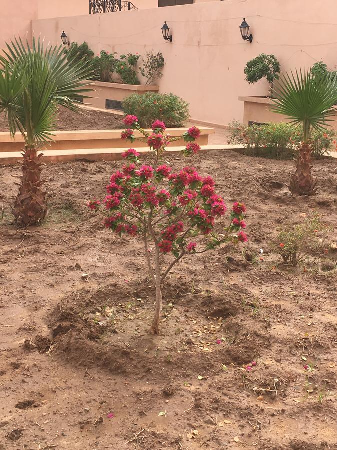 Appartement Elias Marrakech Marakeş Dış mekan fotoğraf